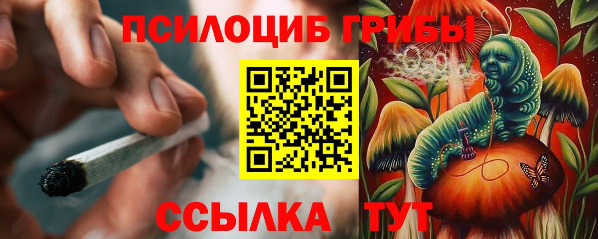Галлюциногенные грибы прущие грибы Тамбов