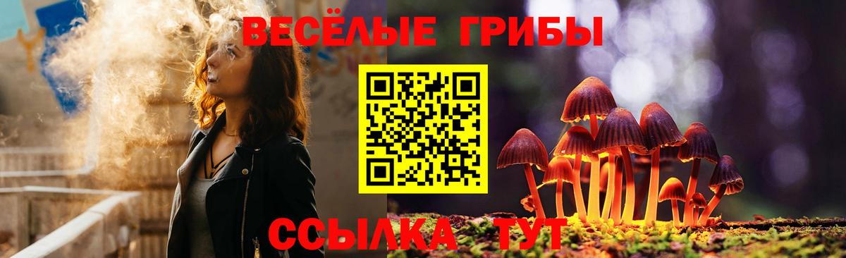 Псилоцибиновые грибы MAGIC MUSHROOMS  Вход с VPN  Тамбов 